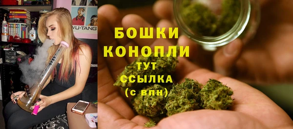 СК Абинск