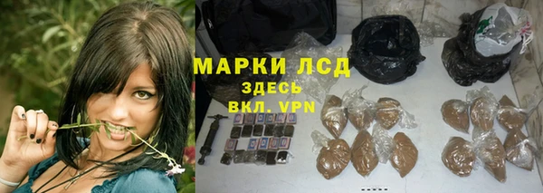 СК Абинск