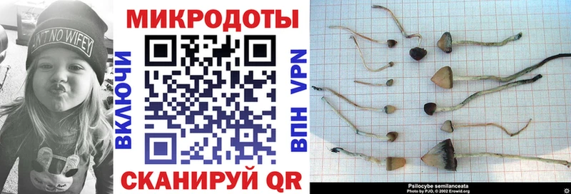 где купить наркоту  Жердевка  Галлюциногенные грибы ЛСД 